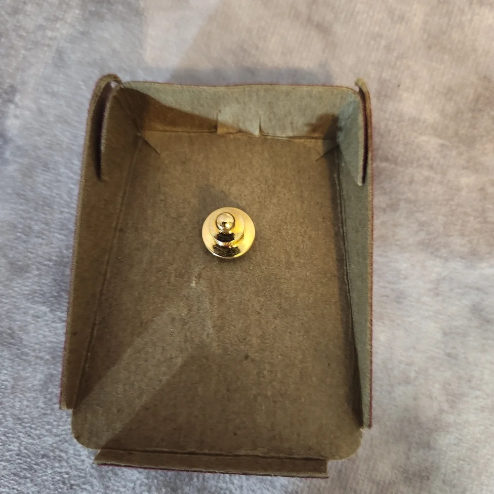 Avon NIB Gold & Amber‎ Turtle Brooch